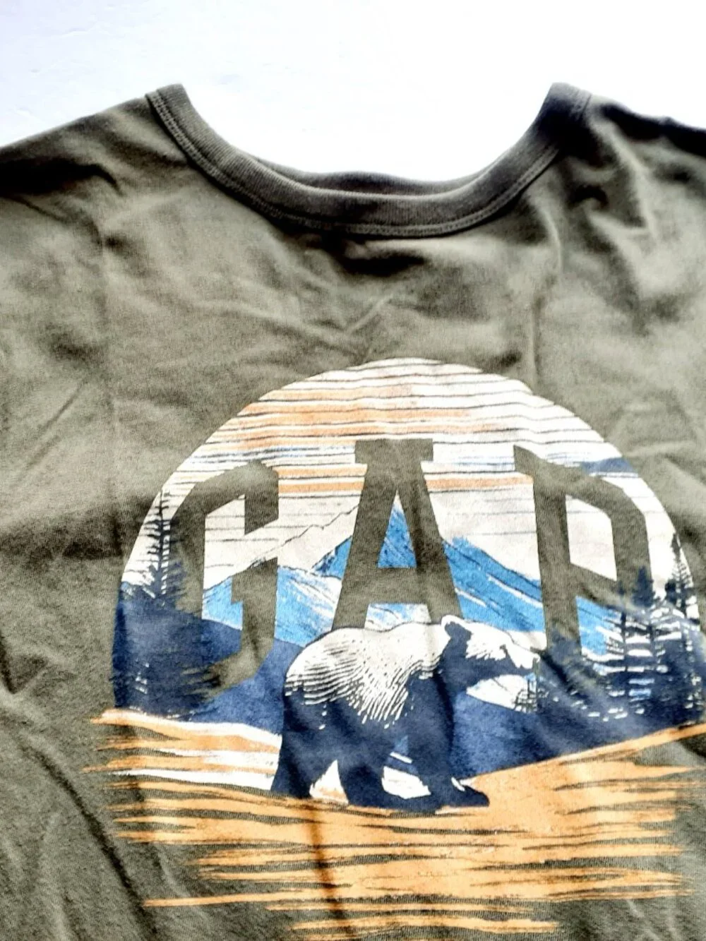 Gap Boys T-Shirt Green Bear Outdoors Nature Long Sleeve Logo XXL 14-16